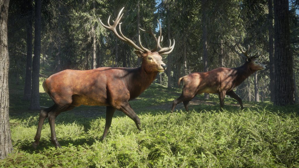 the hunter call of the wild cena srbija